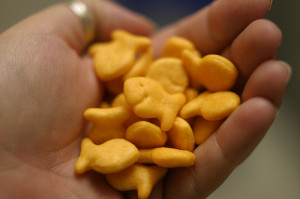 goldfish_cracker_hand