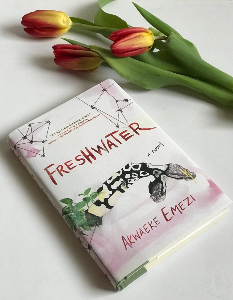 Freshwater by Akwaeke Emezi explores the metaphysics of identity and mental health, taking the reader along for a mystery of being and self.